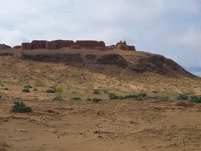 [Ellikqala District]