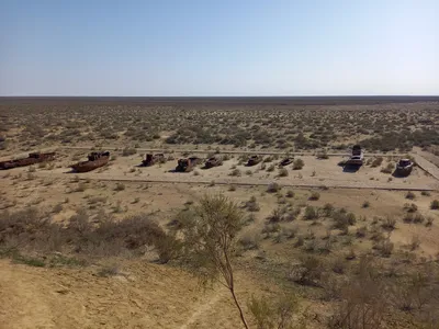 Cimetière de Navires, Moynaq