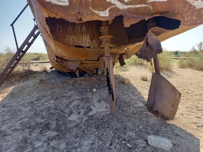 Cimetière de Navires, Moynaq