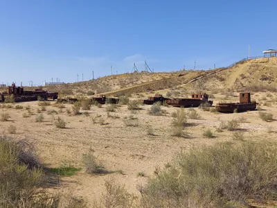 Cimetière de Navires, Moynaq