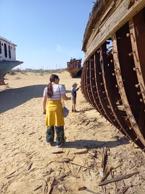 Cimetière de Navires, Moynaq