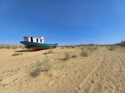 Cimetière de Navires, Moynaq