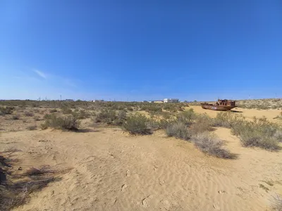 Cimetière de Navires, Moynaq