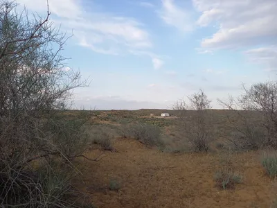 [Konimex District], [Konimex District]
