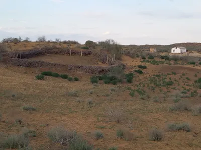 [Konimex District], [Konimex District]