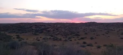 [Konimex District], [Konimex District]