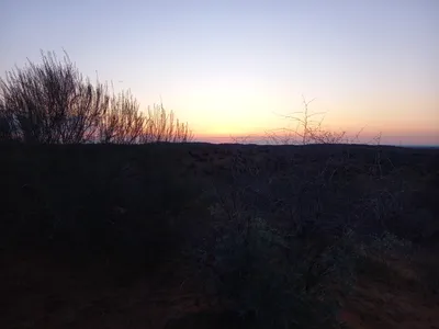 [Konimex District], [Konimex District]