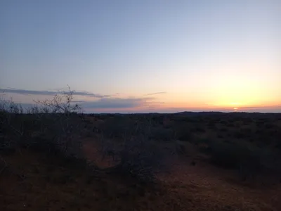 [Konimex District], [Konimex District]