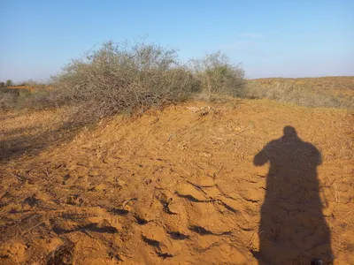 [Konimex District], [Konimex District]