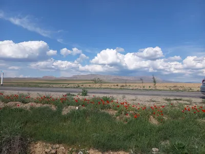 D074, [Qoʻshrabot District]