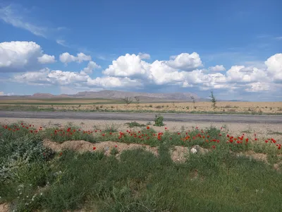 D074, [Qoʻshrabot District]