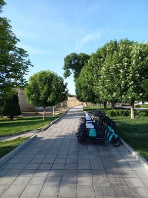 Rue Islom Karimov, Ville de Samarcande