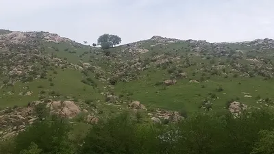 [Aktash], [Aktash]