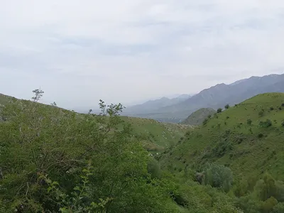 [Aktash], [Aktash]