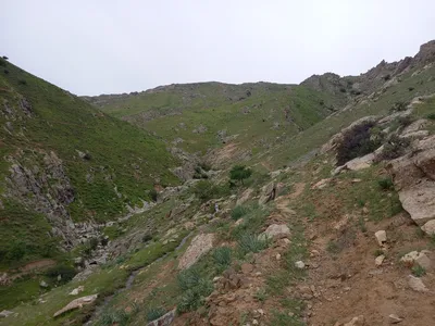 [Aktash], [Aktash]
