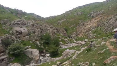 [Aktash], [Aktash]
