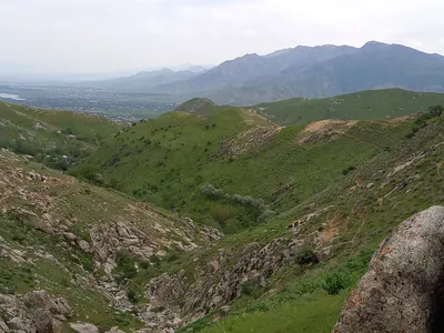 [Aktash], [Aktash]