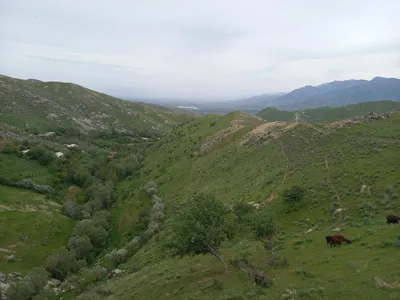 [Aktash], [Aktash]