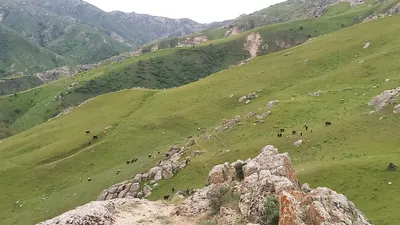 [Aktash], [Aktash]