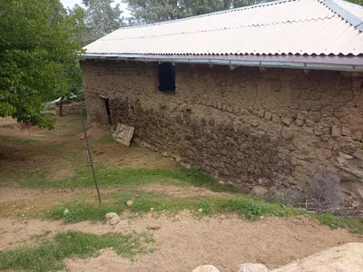 Ayriqiya