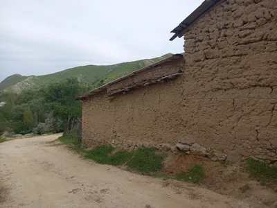 Ayriqiya