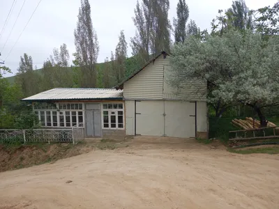 Ayriqiya