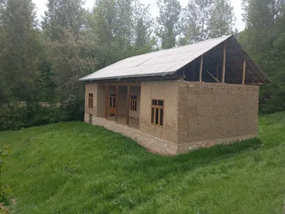 Ayriqiya