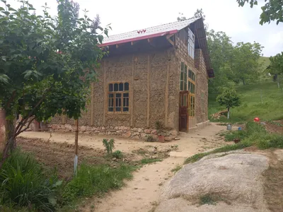 Ayriqiya