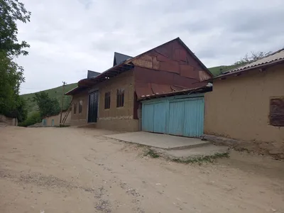 Ayriqiya