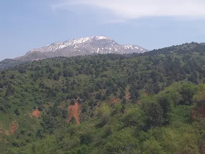 district de Bostanliq