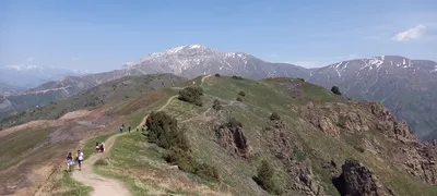 Нижний ярус, district de Bostanliq