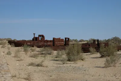 Cimetière de Navires, Moynaq