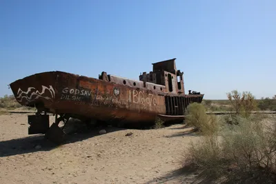 Cimetière de Navires, Moynaq