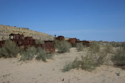 Cimetière de Navires, Moynaq