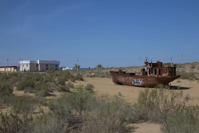 Muynak Port, Moynaq