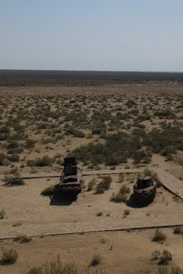[Street Ajiniyaz], Moynaq