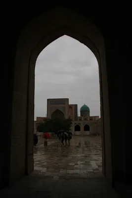 mosquée Kalon, Boukhara