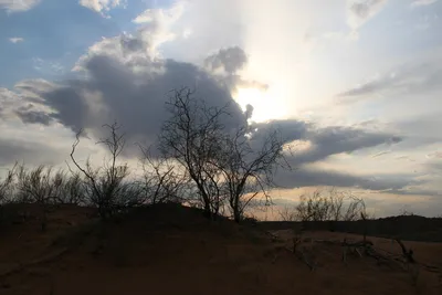 [Konimex District], [Konimex District]
