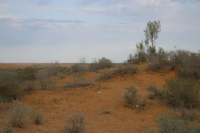 [Konimex District], [Konimex District]