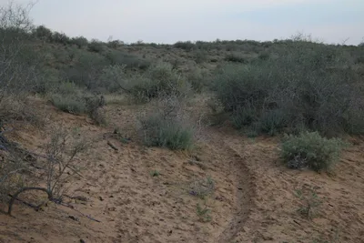[Konimex District], [Konimex District]