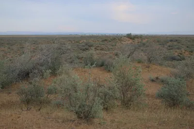 [Konimex District], [Konimex District]