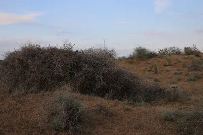[Konimex District], [Konimex District]