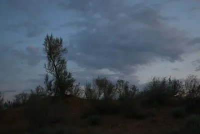 [Konimex District], [Konimex District]