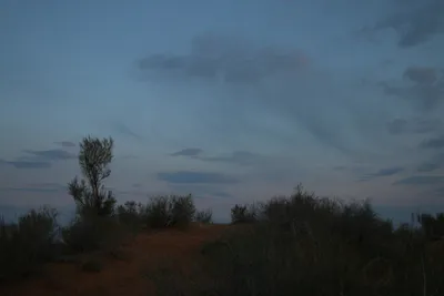 [Konimex District], [Konimex District]