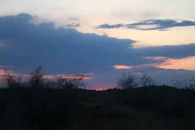 [Konimex District], [Konimex District]