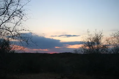 [Konimex District], [Konimex District]
