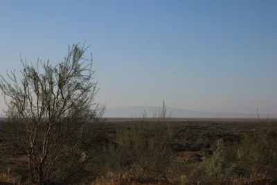[Konimex District], [Konimex District]