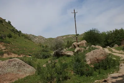 Ayriqiya