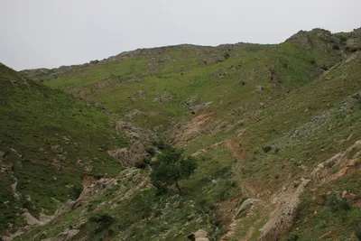 [Aktash], [Aktash]