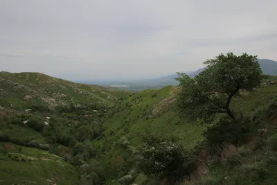 [Aktash], [Aktash]